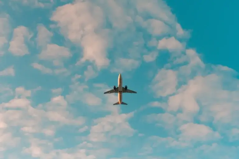 Plane in the pink sky